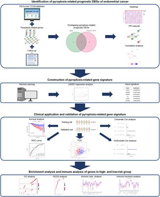 Roles of Pyroptosis-Related Gene Signature in Prediction of Endometrial Cancer Outcomes